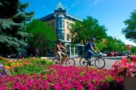Fort Collins Guided Electric Bike Tour thumbnail 6