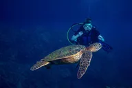 Lahaina Scuba Diving Class thumbnail 2