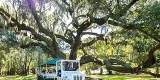 Charleston Magnolia Plantation & Gardens Tour