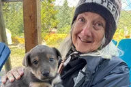 Yukon Sled Dog Tour with Mushers thumbnail 6