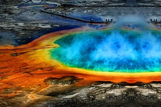 Jackson Hole Yellowstone National Park Tour