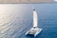Maui Catamaran Whale Watch thumbnail 5