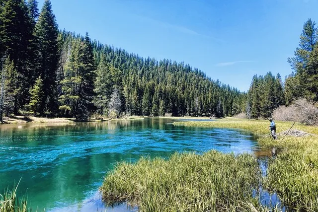 Truckee River Fly Fishing Experience - Image 5