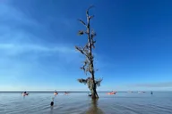 Manchac Swamp Kayak Tour with Pickup 4 hr thumbnail 6