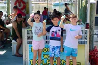 Clearwater Dolphin Cruise and Island Adventure thumbnail 5