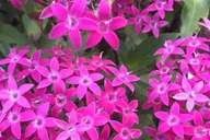 Santa Monica Hidden Stairways & Canyon Paths Tour thumbnail 5