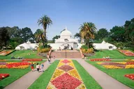 San Francisco Highlights Private Driving Tour thumbnail 4