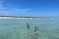 Siesta Key Eco and Dolphin Boat Tour 4 hr thumbnail 3