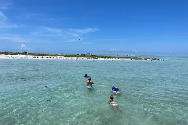 Siesta Key Eco and Dolphin Boat Tour 4 hr - Image 3