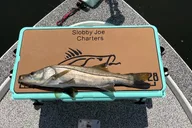 Tampa Fishing Charter thumbnail 5