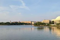 Washington Private Walking Tour thumbnail 5