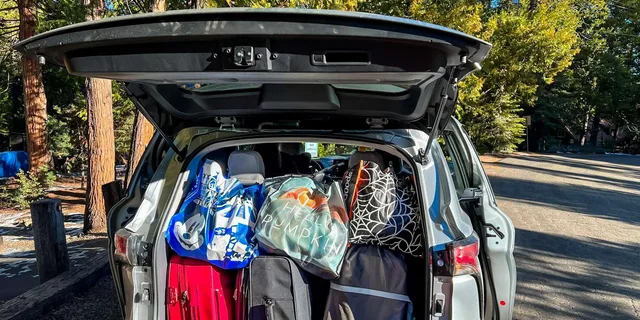 Orlando Airport Transfer to Disney Resorts - Image 3