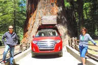 San Francisco Avenue of the Giants Tour thumbnail 3