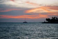 Key West Dolphin Watch Sunset Sail thumbnail 2