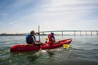 San Diego Bay Guided Kayak Tour in Coronado 1.5 hr thumbnail 5