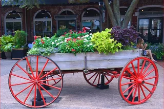 Savannah Scavenger Hunt Walking Tour
