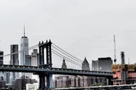 New York City Harbor Skyline and Statue of Liberty Tour thumbnail 6