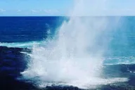 Kauai Waimea Canyon and Waterfall Day Tour thumbnail 1