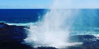 Kauai Waimea Canyon and Waterfall Day Tour