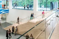 San Francisco Museum of Modern Art Entry Ticket thumbnail 4