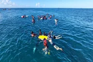 Waikiki Snorkeling Cruise at Sunset thumbnail 6