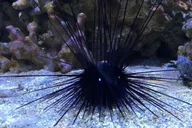 Austin Aquarium Entry Ticket thumbnail 6