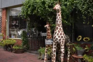 Senoia Walking Dead Film Locations Walking Tour 2 hr thumbnail 5