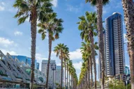 San Diego Private Custom Walking Tour thumbnail 4