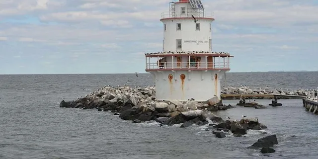 Cape May Lighthouse Cruise - Image 2