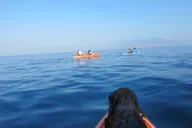 Maui Turtle Town Eco Adventure thumbnail 6