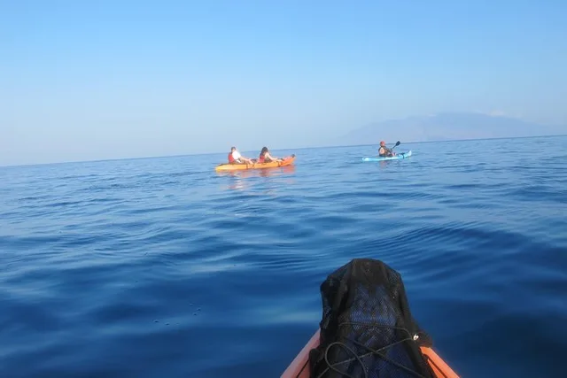 Maui Turtle Town Eco Adventure - Image 6