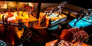 Houston Museum Pass