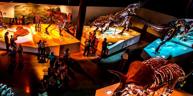 Houston Museum Pass - Image 1
