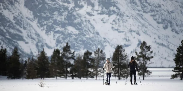 Jackson Wildlife and Snowshoe Tour in Grand Teton - Image 6