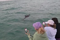 Destin Eco Tour at Sunset thumbnail 6