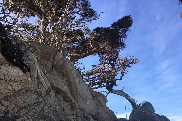 Big Sur Hiking Adventure - Image 3