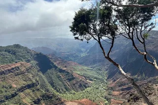 Kauai Highlights Tour Featuring Waimea Canyon