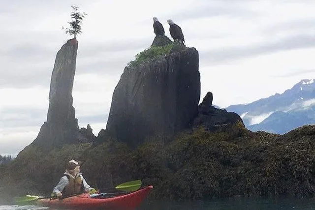Seward Kayak and Hike to Historic WW2 Army Fort - Image 6