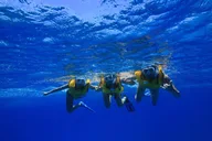 Waikiki Turtle Canyon Snorkel Excursion thumbnail 4