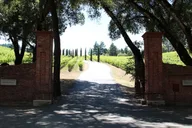 San Francisco Wine and City Tour thumbnail 1