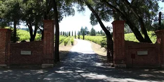 San Francisco Wine and City Tour