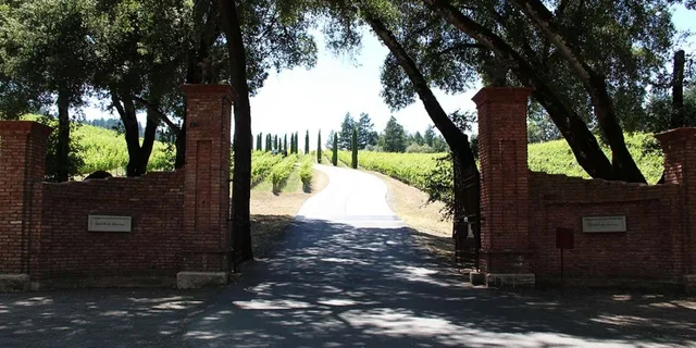 San Francisco Wine and City Tour - Image 1