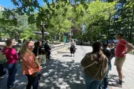 New York Cat Tales Walking Tour Financial District 2 hr thumbnail 3