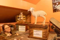 Los Angeles Ripley's Believe It or Not! Admission thumbnail 4