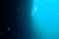 Blue Grotto Scuba Dive in Kings Bay thumbnail 5