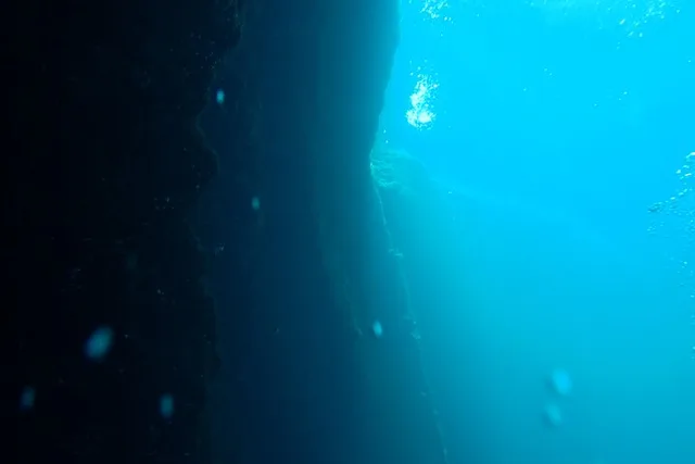 Blue Grotto Scuba Dive in Kings Bay - Image 5