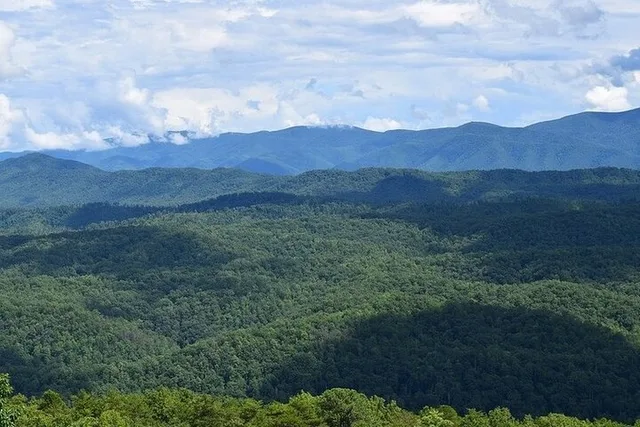 Smoky Mountains Jeep Tour Foothills Parkway - Image 4