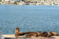Venice Open Air Bus Tour thumbnail 5