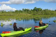 Orlando Sunset Guided Kayak Tour thumbnail 4