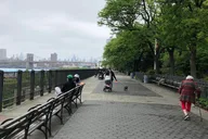 Brooklyn Heights Self-Guided Walking Tour thumbnail 2